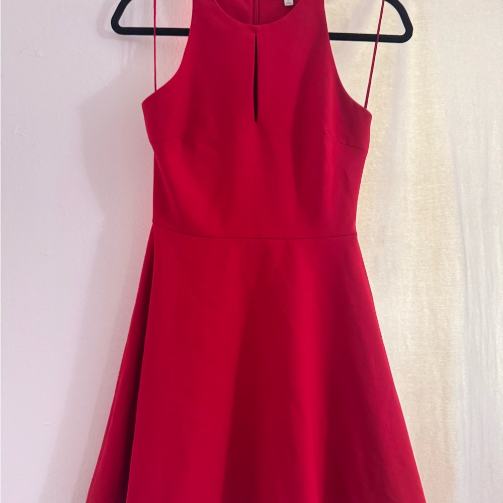 Elizabeth and James red mini cocktail dress